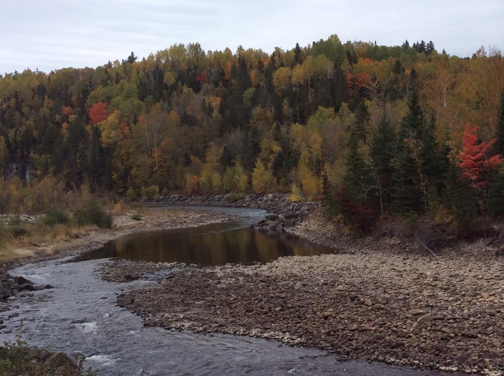 Camping Le 4 Chemins LʼAnse-Saint-Jean Rom bilde